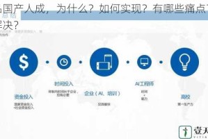 精品国产人成，为什么？如何实现？有哪些痛点？怎样解决？