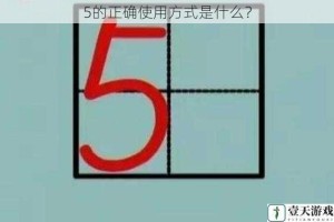 5的正确使用方式是什么？
