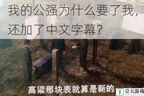 我的公强为什么要了我，还加了中文字幕？