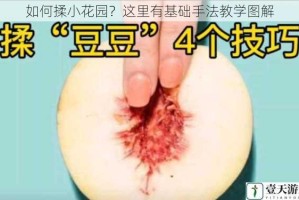 如何揉小花园？这里有基础手法教学图解