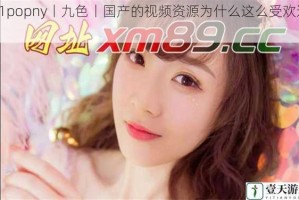 91popny丨九色丨国产的视频资源为什么这么受欢迎？