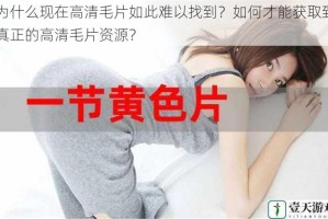 为什么现在高清毛片如此难以找到？如何才能获取到真正的高清毛片资源？
