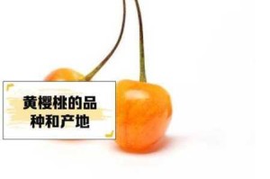 樱桃视频为什么不能免费观看？有哪些方法可以免费观看樱桃视频？如何找到可以免费观看樱桃视频的方法？