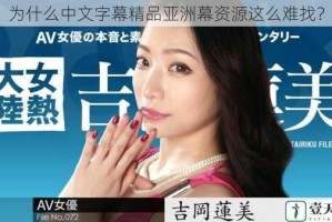 为什么中文字幕精品亚洲幕资源这么难找？
