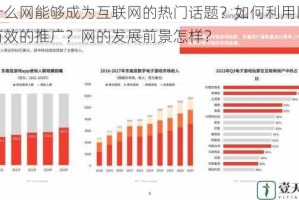 为什么网能够成为互联网的热门话题？如何利用网进行有效的推广？网的发展前景怎样？