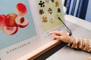 为什么放学后的特殊教育桃子移植如此特殊？