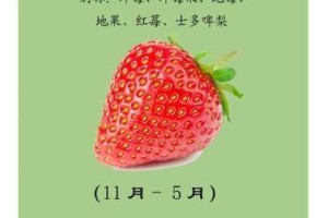 为什么草莓视频色板如此受欢迎？