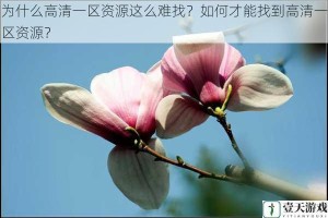 为什么高清一区资源这么难找？如何才能找到高清一区资源？
