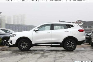 欧美亚洲精品 SUV，如何选择适合自己的车型？