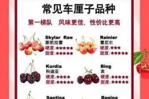 为什么找不到樱桃视频大全？如何快速找到樱桃视频大全？怎样获取樱桃视频大全？