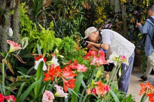 逆水寒清明主题节日活动全览：带你领略清明佳节的独特魅力