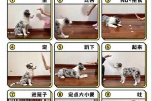 把一个女仆训练成狗需要多久？怎样才能将女仆训练成像狗一样听话？把女仆训练成狗需要注意什么？