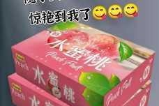 水蜜桃传播有限公司：如何在激烈的市场竞争中脱颖而出？