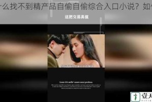 为什么找不到精产品自偷自偷综合入口小说？如何解决？