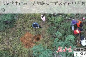 帕斯卡契约中矿石甲壳的获取方式及矿石甲壳图鉴全面一览