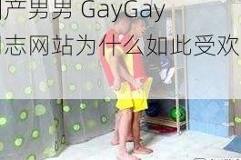 国产男男 GayGay 同志网站为什么如此受欢迎？