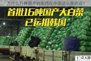 为什么日韩国产的东西在中国这么受欢迎？