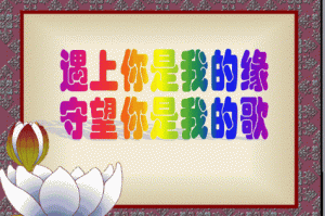 在茫茫片海中，如何找到真正的精品？国内精品久久精品，满足你所有需求