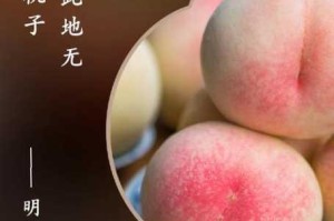 水蜜桃一区一一区三区四区为什么如此受欢迎？