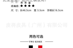 国产九色 sp 调教 91是什么？为什么它如此受欢迎？如何正确使用？