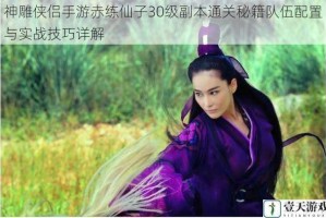 神雕侠侣手游赤练仙子30级副本通关秘籍队伍配置与实战技巧详解