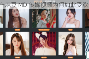 国产麻豆 MD 传媒视频为何如此受欢迎？