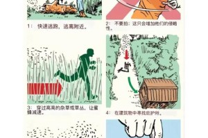 为什么在野外会发生？如何避免在野外遭遇？在野外遭遇该怎么办？