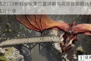 博德之门3蝌蚪全收集位置详解与高效获取路线推荐及技巧分享