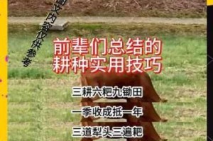 古代农耕秘籍各地土壤宜种作物详解及高产种植技巧全指南