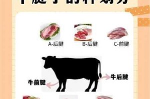 女人ZOZ 牛 c 交是一种怎样的体验？如何获得更好的交合体验？ZOZ 牛 c 交是否安全？