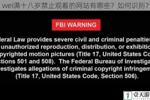 wei满十八岁禁止观看的网站有哪些？如何识别？