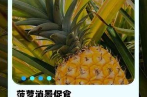 18 菠萝导航能为我做什么？如何使用 18 菠萝导航？18 菠萝导航有哪些功能？