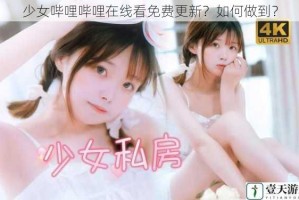 少女哔哩哔哩在线看免费更新？如何做到？