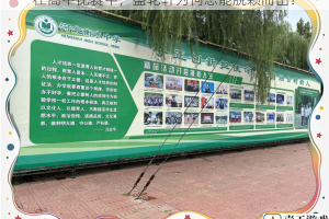 在高中比赛中，盛轮轩为何总能脱颖而出？