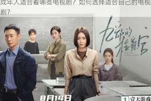 成年人适合看哪些电视剧？如何选择适合自己的电视剧？