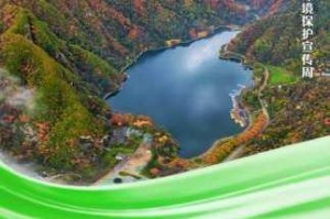 老农种树养山究竟能带来哪些实际的用处呢？让我们深入探讨一下