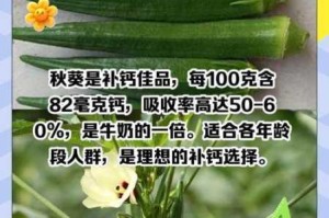 为什么涩涩屋绿巨人秋葵这么受欢迎？如何获得更好的体验？