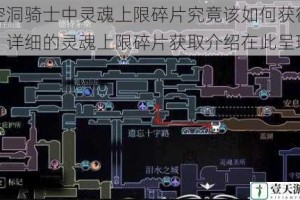 空洞骑士中灵魂上限碎片究竟该如何获得？详细的灵魂上限碎片获取介绍在此呈现