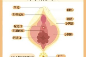 为什么小辣椒樱桃私密入口要三秒自动进？
