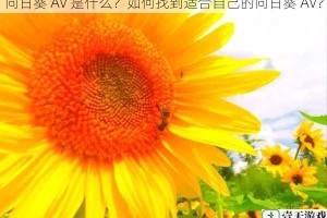 向日葵 AV 是什么？如何找到适合自己的向日葵 AV？
