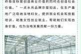 洛克王国十一周年庆宣传口号大分享：快来一起感受周年狂欢