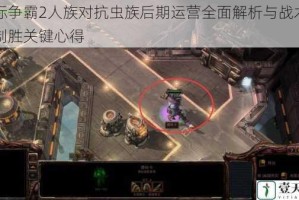 星际争霸2人族对抗虫族后期运营全面解析与战术细节制胜关键心得