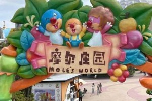 摩尔庄园手游排队进不去？别急，这里有详细的解决方法介绍