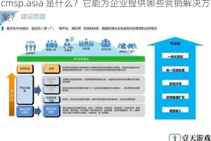 cmsp.asia 是什么？它能为企业提供哪些营销解决方案？