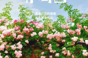 2028 年精品伊甸乐园入口为何如此难找？怎样才能找到它？