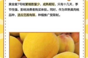 为什么在 17c 嫩 91n 色蜜桃中找不到你想要的内容？