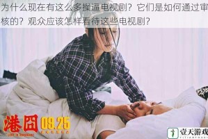 为什么现在有这么多操逼电视剧？它们是如何通过审核的？观众应该怎样看待这些电视剧？
