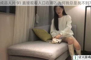 成品人片 91 直接观看入口在哪？为何我总是找不到？
