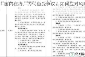 91 国内在线，为何备受争议？如何应对风险？