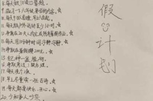 暑假自罚下面 60 天计划，可行吗？